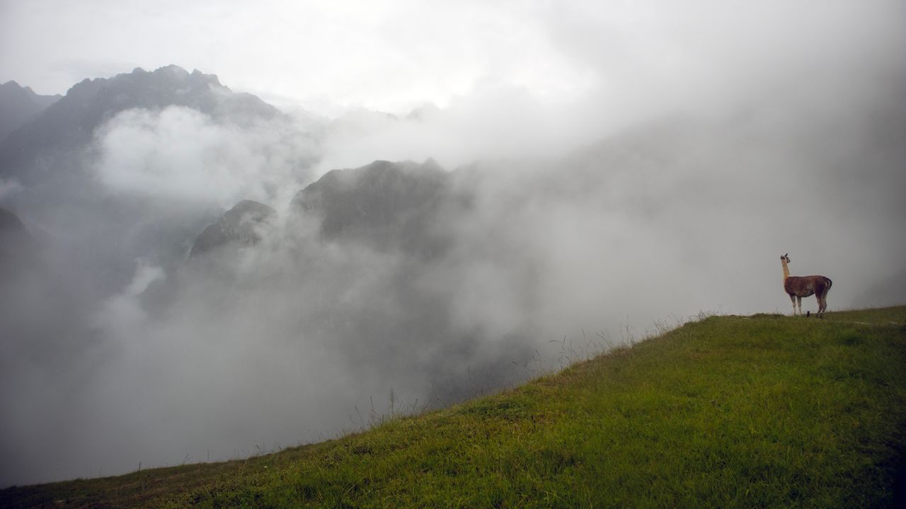 The Mystique of Machu Picchu 4 - custom framed artwork