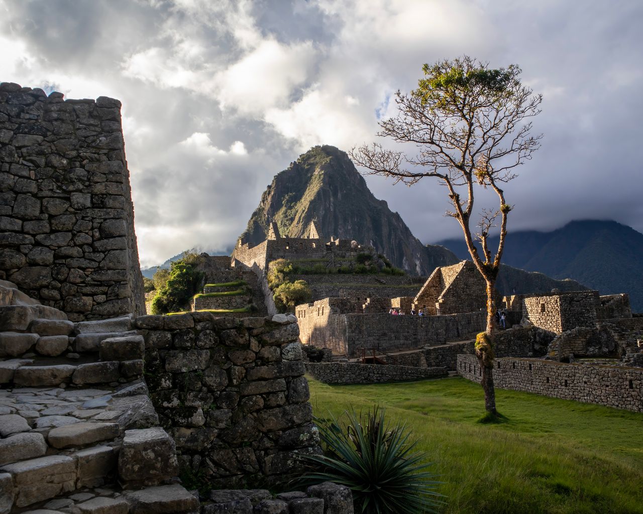 Lonely Tree - custom framed artwork
