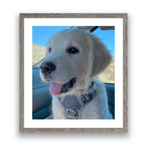 print and framing photos online