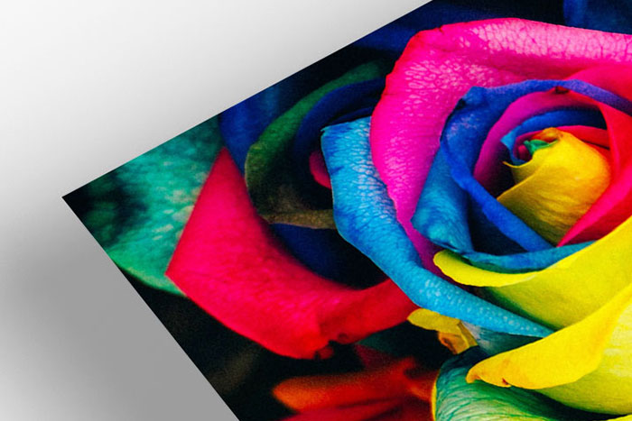 fine art printing online