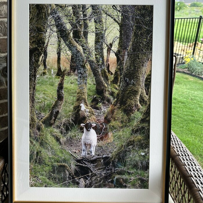 Verified review Chris C: Picture quality turned out great and frame was top notch. It’s a bit on the pricey side as frames get larger but since the quality was good I can’t complain about the price point.