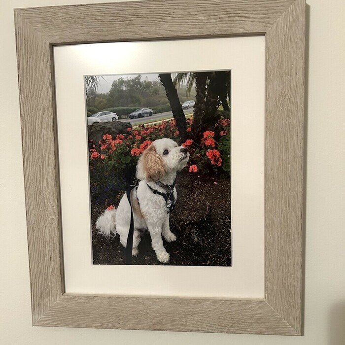 Verified review from Jill: Very easy process, finished in a timely manner and packaged very professionally. 
Happy with the frame, glass and is just as ordered!