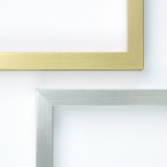 Picture Frame Styles - The Modern Metals Collection
