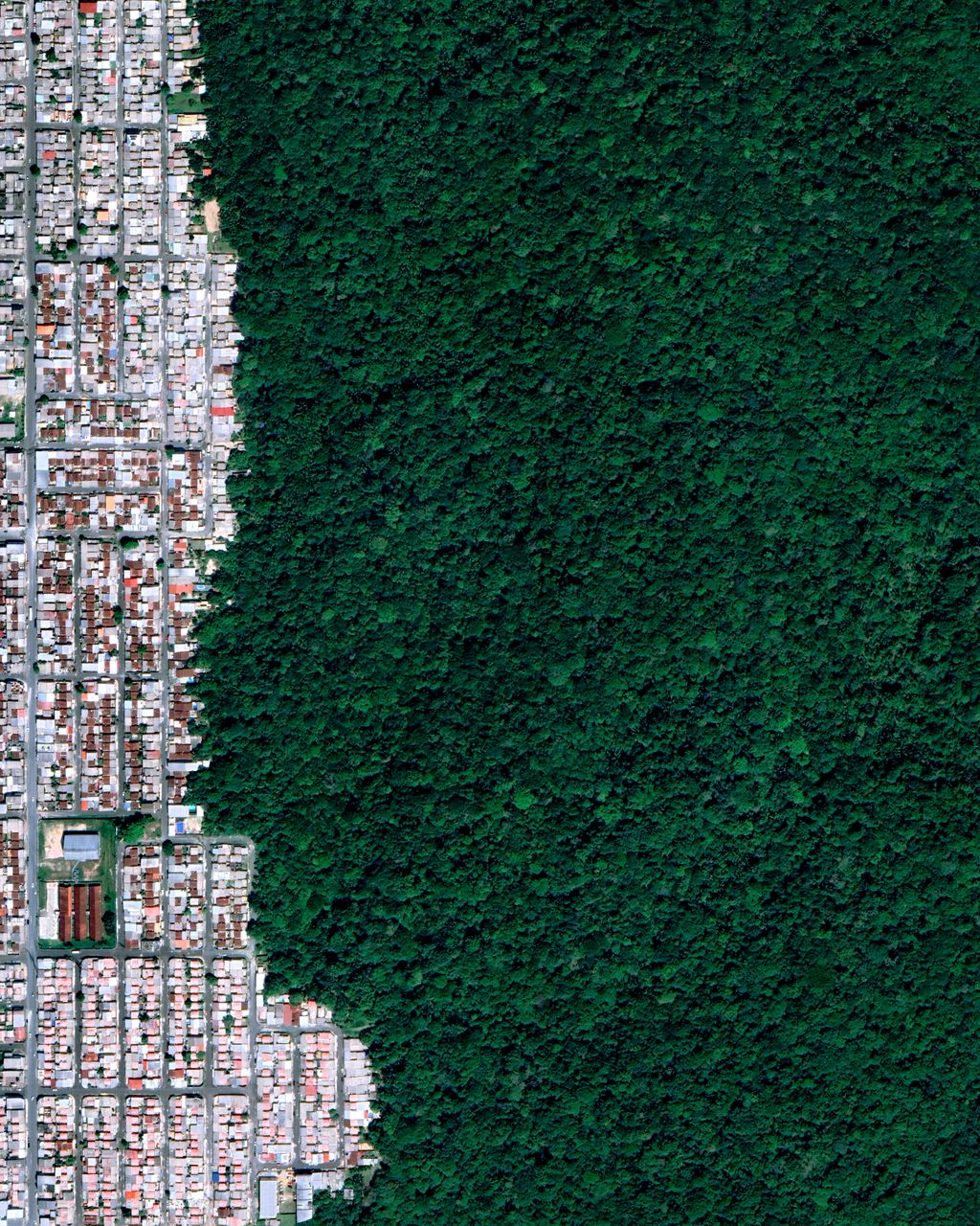 Manaus - custom framed artwork