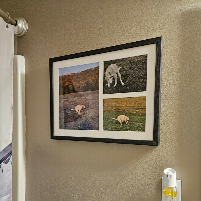 Verified review from Sean: "I have this hanging in my guest bathroom and it's amazing. A little childish? Absolutely! Who wants to be serious all the time. Thank you for making it with care. I hope it brought a smile or some laughs to whoever made it!"