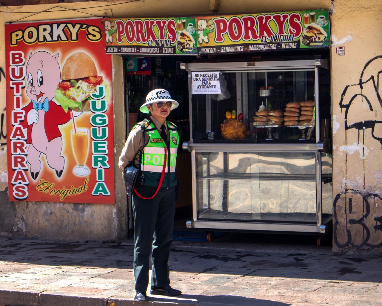 Standing Guard - custom framed artwork