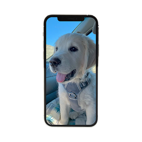 framing a photo - how it works