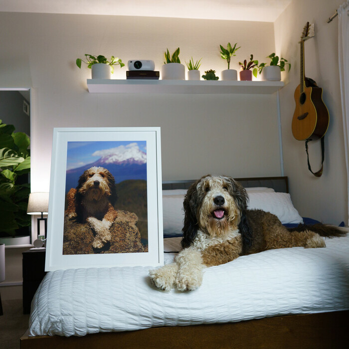 online custom framing