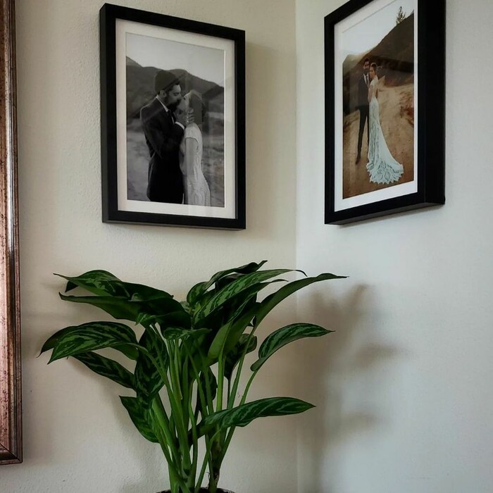 @claireepterson: Found the best spot for my new plant. ☺️