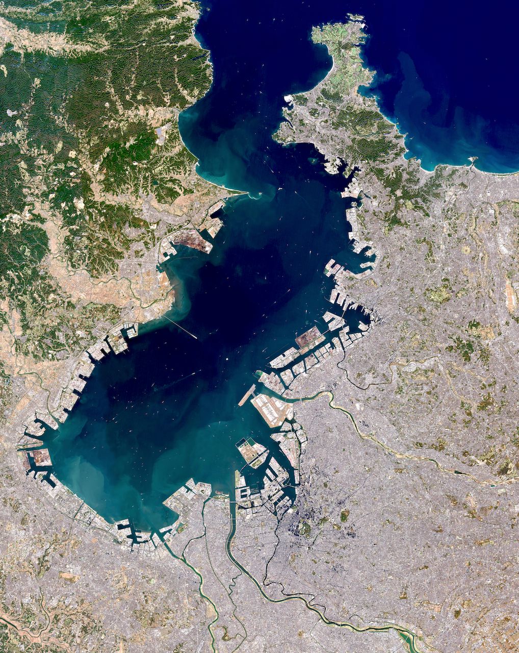 Tokyo - custom framed artwork