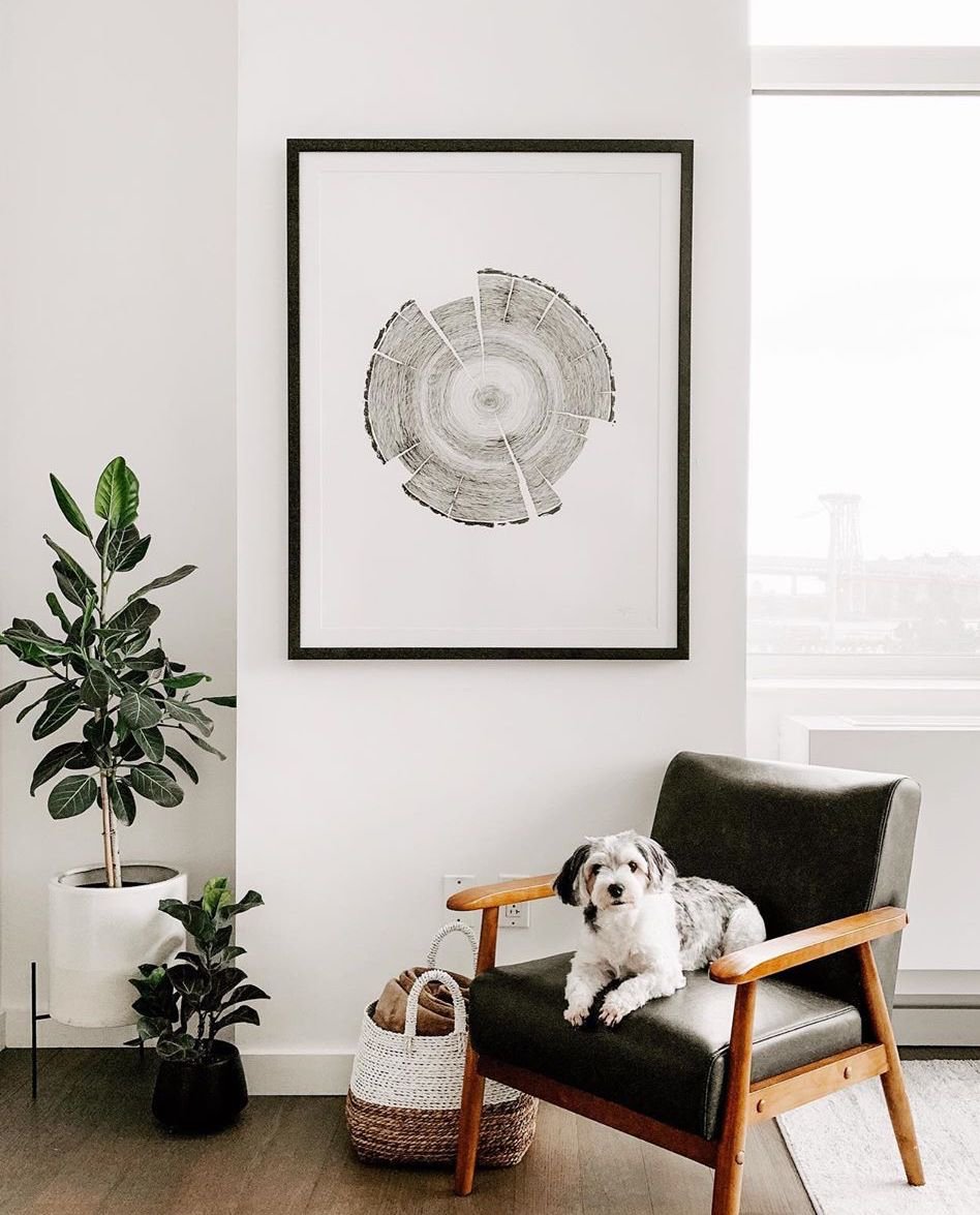 custom framed artwork in a sunny apartment